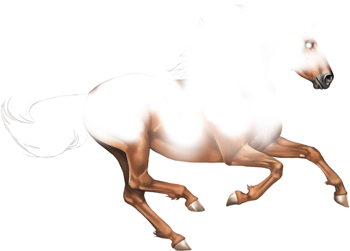 Horse - Stallion (700x503)