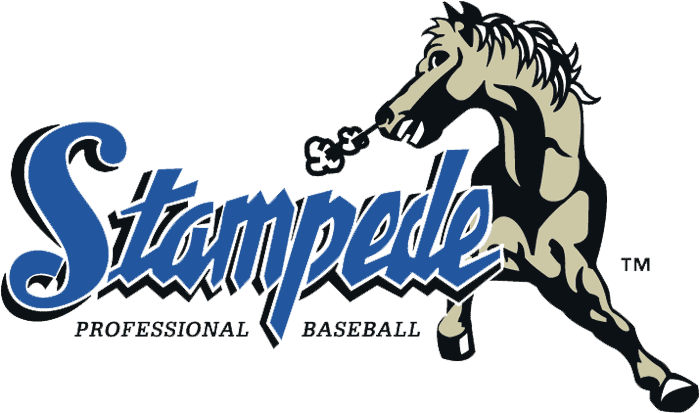 San Bernardino Stampede Primary Logo - Iron-on (700x413)