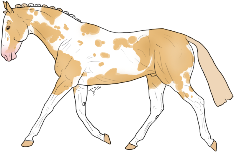 Only The Good Die Young - Stallion (800x532)