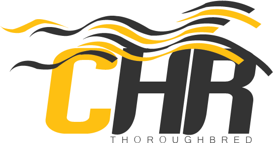 Logo Work For Chr By Emrah Yildirim - Horse Racing (553x341)