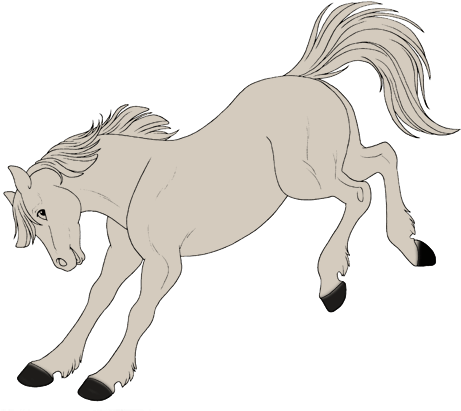 Sketchy Horse - Sketchy Horse (500x428)