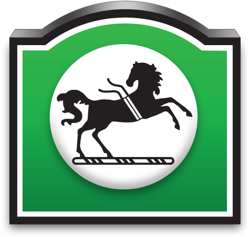 Ic Google 512 - National Bank New Zealand (512x512)
