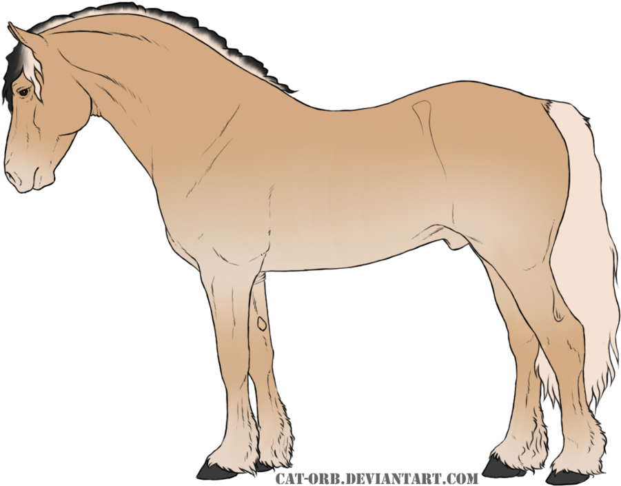 *whs Ace Ventura - Sorrel (1024x781)