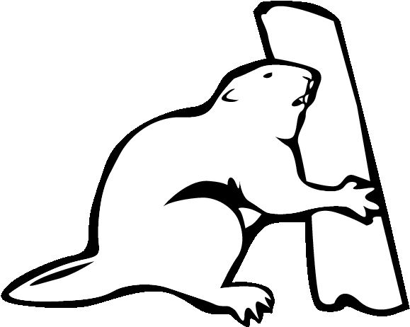 Drawn Beaver Line Art - Line Art (612x792)