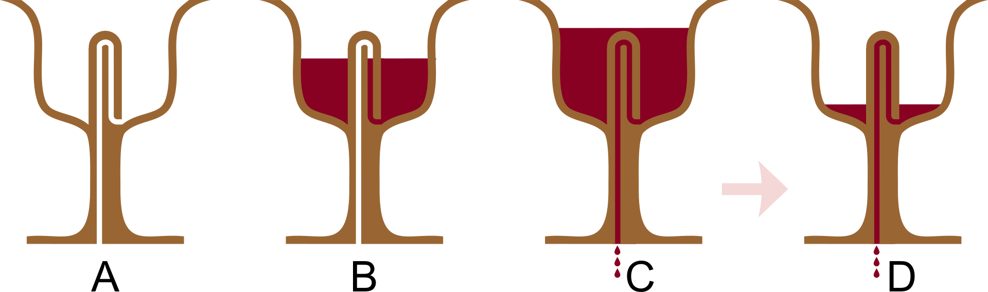 Pyth-cup - Greedy Cup (5330x1576)