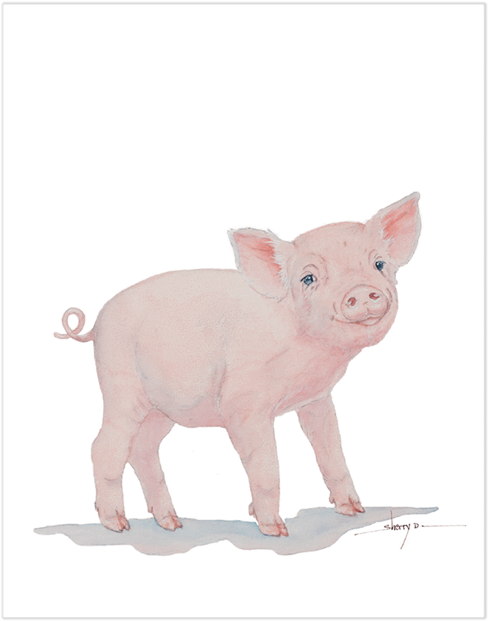 Baby Pig Wall Art - Art (900x900)