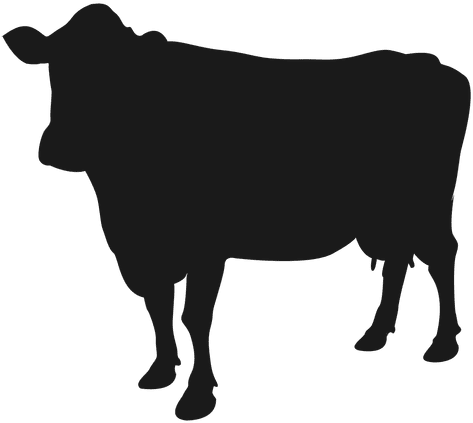 Cattle Clipart Transparent - Cow Icon Png (512x512)