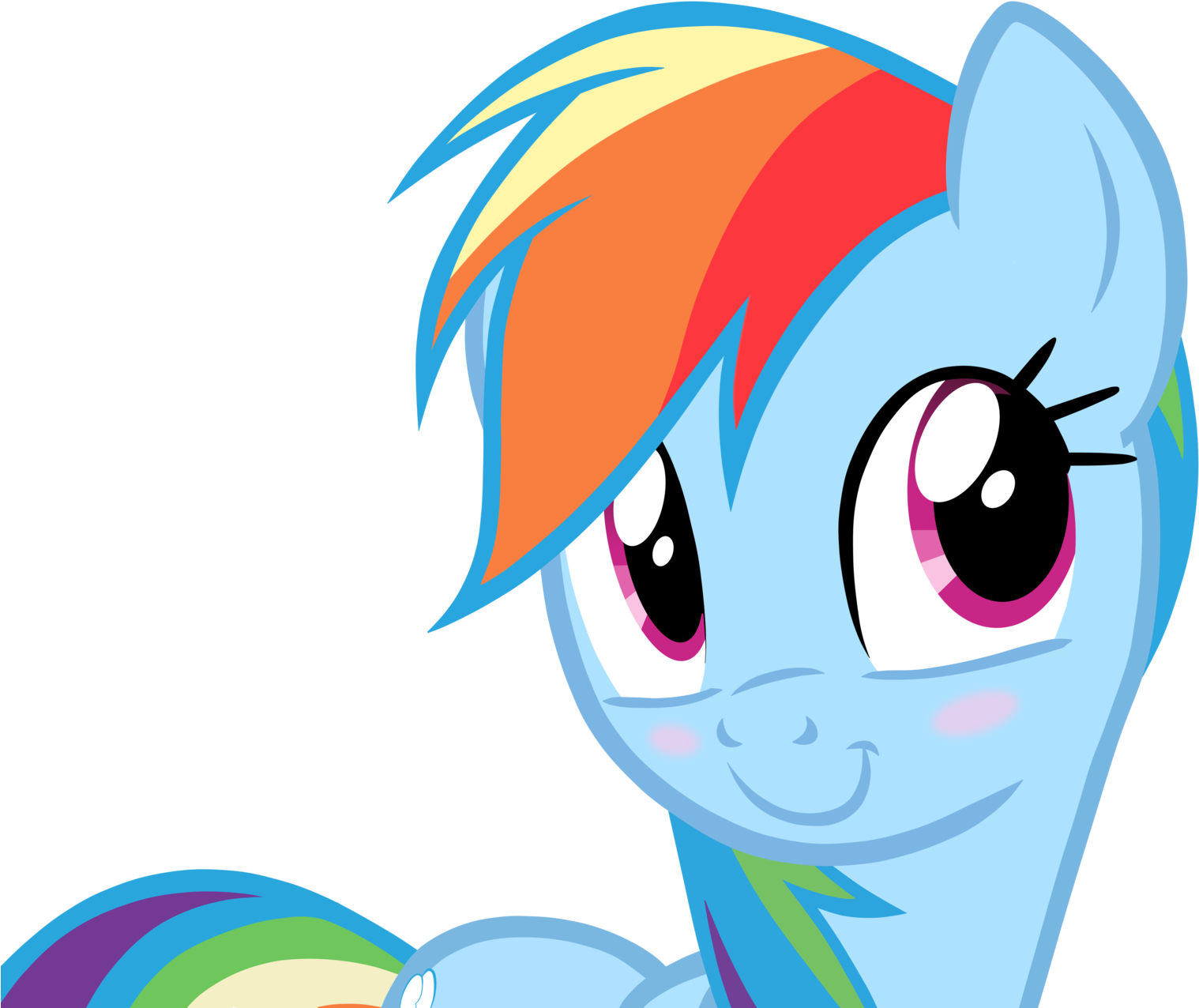 Why Are We Even Here - My Little Pony Rainbow Dash Face (1600x1351)
