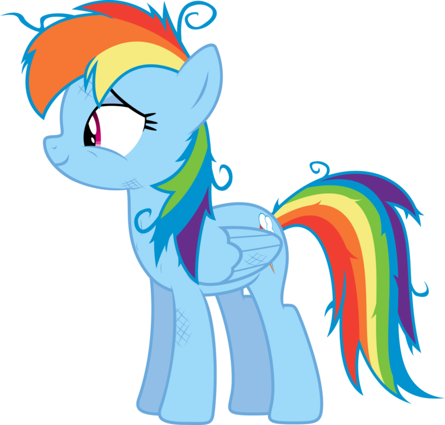 Post 26550 0 11313300 1405363906 Thumb - Rainbow Dash In Socks (915x874)