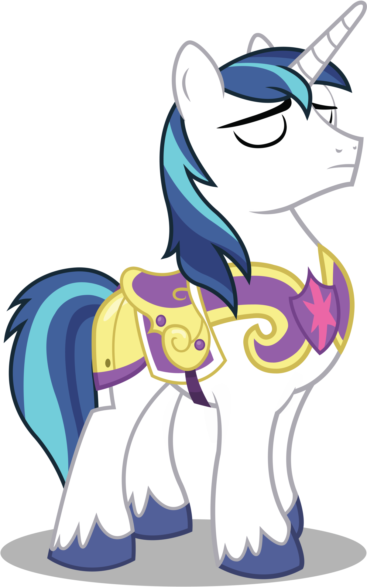 Ella Fue Una Vez La Niñera De Twilight Sparkle Y Finalmente - My Little Pony Shining Armor (1280x1971)