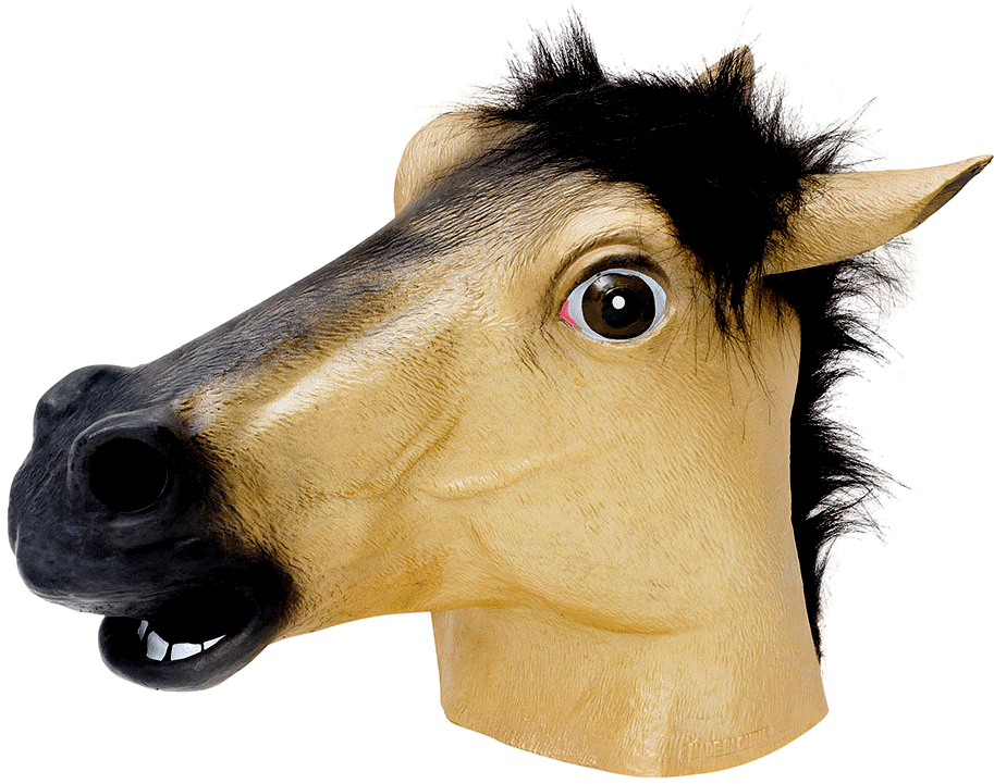 Horse Overhead Rubber Mask Fancy Dress Costume Outfit (912x912)