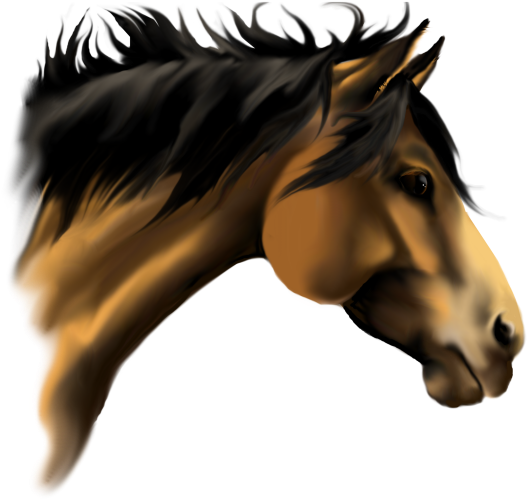 Horse - American Paint Horse Mane (550x531)