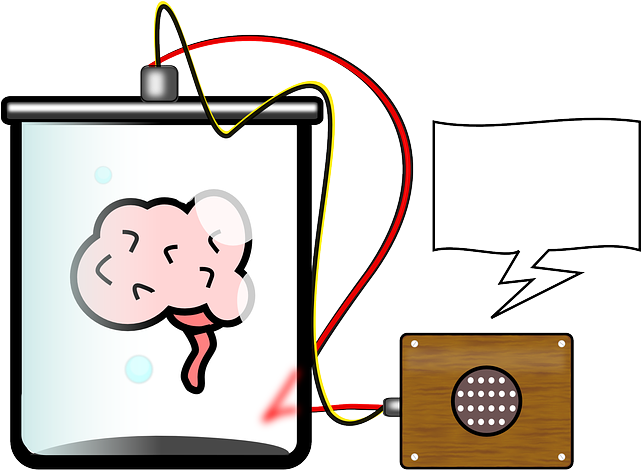 Experiment Brain, Lab, Science, Talking, Speech Bubble, - Brain In A Jar Clip Art (640x484)