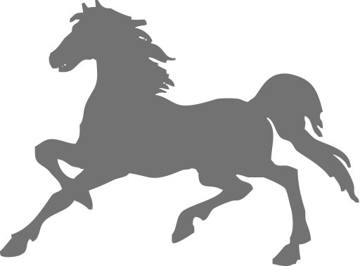 Right, Horse, Mare Icon - Horse Vector (512x378)