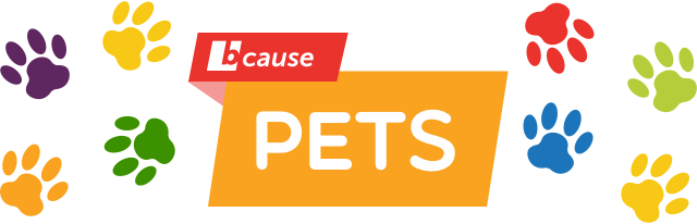 Banner Banner Mobile - Graphic Design (640x206)