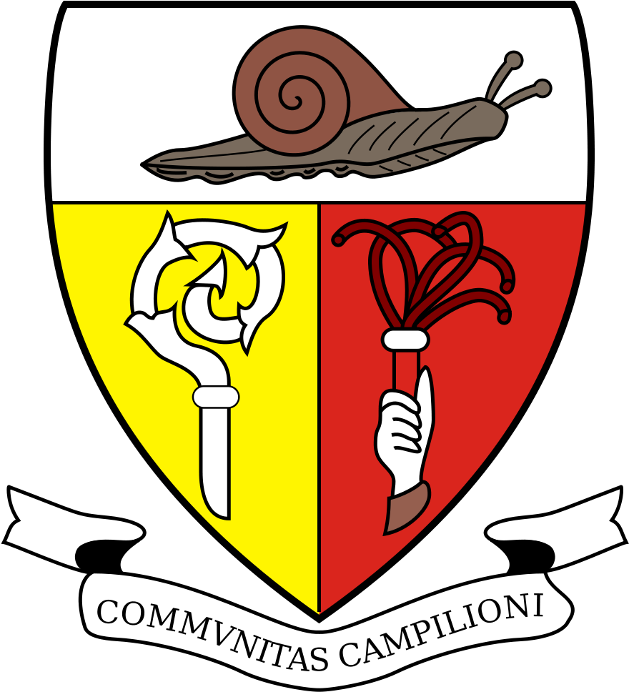 It Campione D'italia - Bank Coat Of Arms (1000x1000)