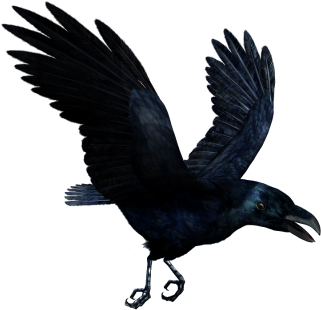 Ravan Png Pictures Png Images - Raven Flying Transparent (400x382)