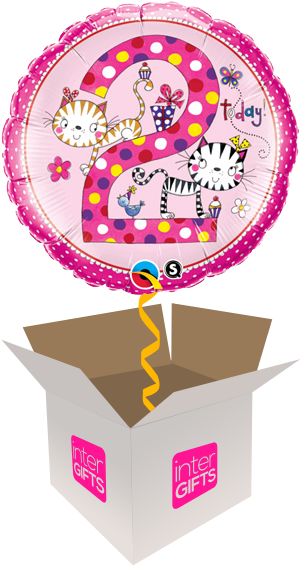 2nd Birthday Pink Cats - 2nd Birthday Balloon (568x568)