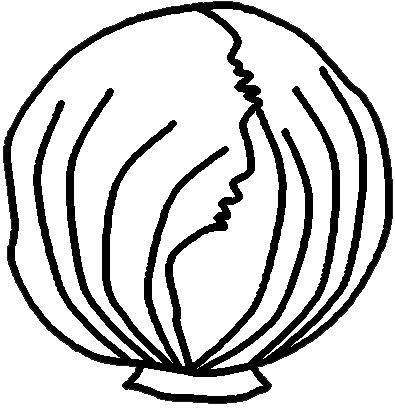Lettuce Clipart 4 Image - Lettuce Clip Art Black And White (395x408)
