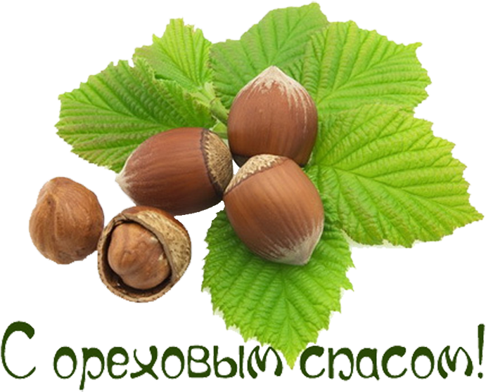 5152557 0 A506c 95eb737b Xl 1 - Поздравление С Ореховым Спасом (800x590)