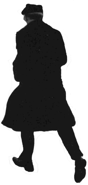 Beecher's Fault - Silhouette (300x640)