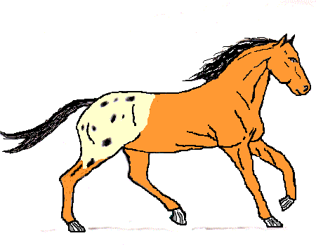 Gloria - Mustang Horse (450x350)