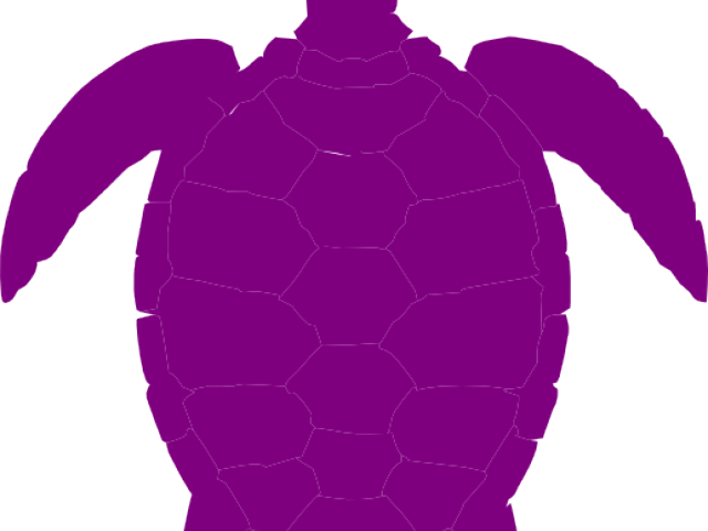 Sea Turtle Clipart Purple - Clip Art (640x480)