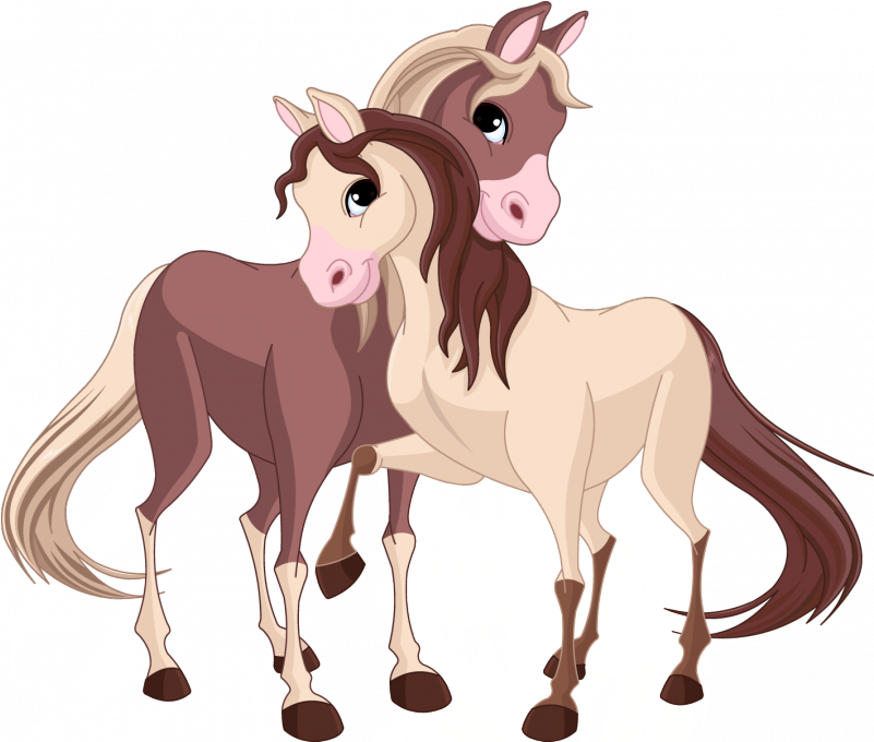Siguiente - Cute Cartoon Horses (800x800)