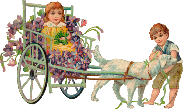 Eingestellt Von Zauberfee Um - Carriage (640x380)