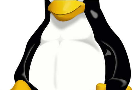 Linux Penguin (600x315)