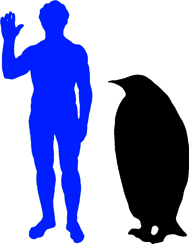 The Emperor Penguin Is The World's Biggest Penguin - Rhino Compared To Human (729x873)