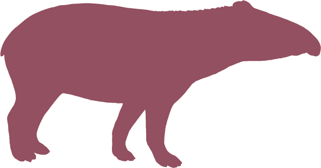 Layout Scale Interaction 3 14 287 Kb - Dog Licks (628x329)