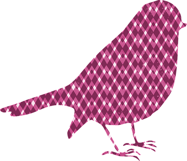 Bird, Silhouette, Pattern, Texture, Pink, Gingham Fun - Flannel Bird Queen Duvet (640x551)