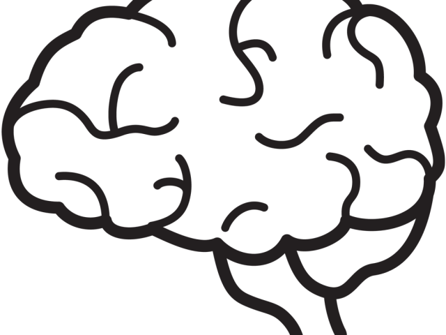 Brain Clipart Icon - Brain Clipart No Background (640x480)