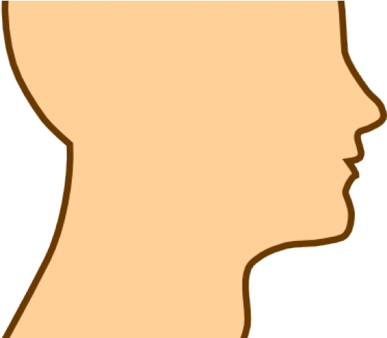 Brain Clipart Man - Clip Art (640x480)