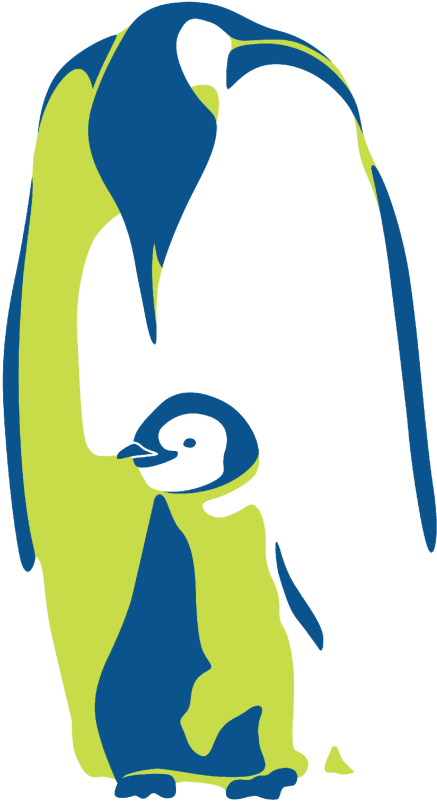 Adã©lie Penguin (800x800)