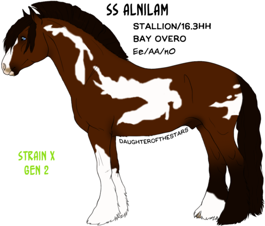 Melon By Daughterofthestars - Stallion (600x480)
