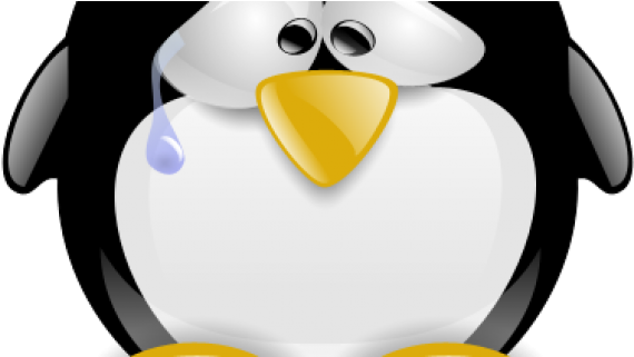 Openaxcss Gives Birth To Innovalleyasia - Imagen Pinguino Triste (758x320)