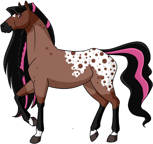 Bay Roan Blanket Appaloosa Mare Owner - Horseland Http I185 Photobucket Com Albums X280 Enloc (550x495)