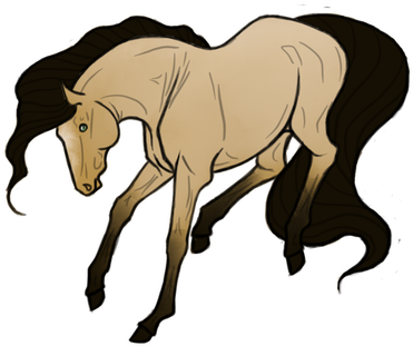 Humans - Stallion (394x394)