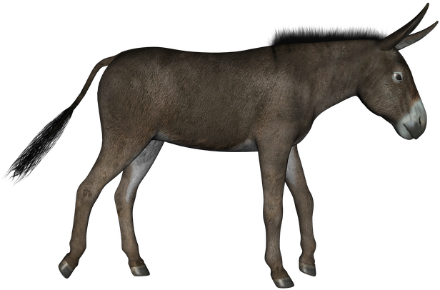 Triumphal Entry Into Jerusalem (720x720)