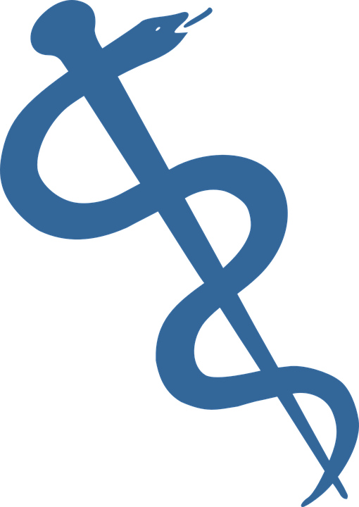 Snake Reading Cliparts 28, Buy Clip Art - Rod Of Asclepius Gold (510x720)