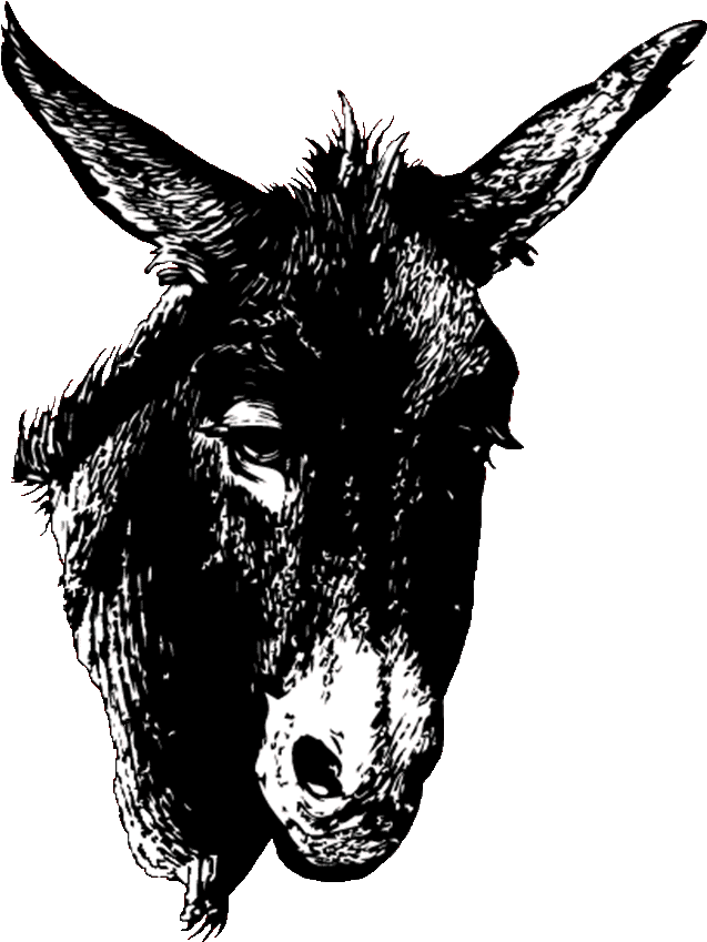 Midsummer Night's Dream Png (734x894)