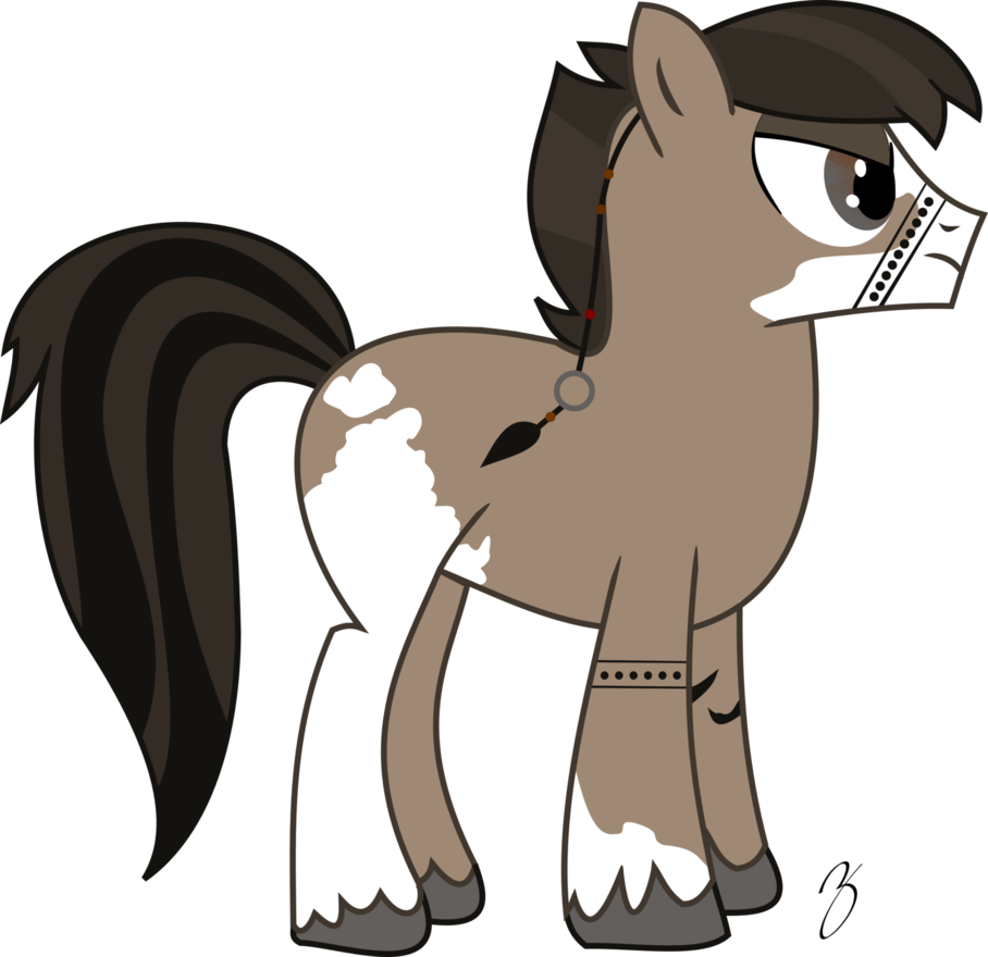 Pony Mustang Cat Pack Animal Mane - Cartoon (908x880)