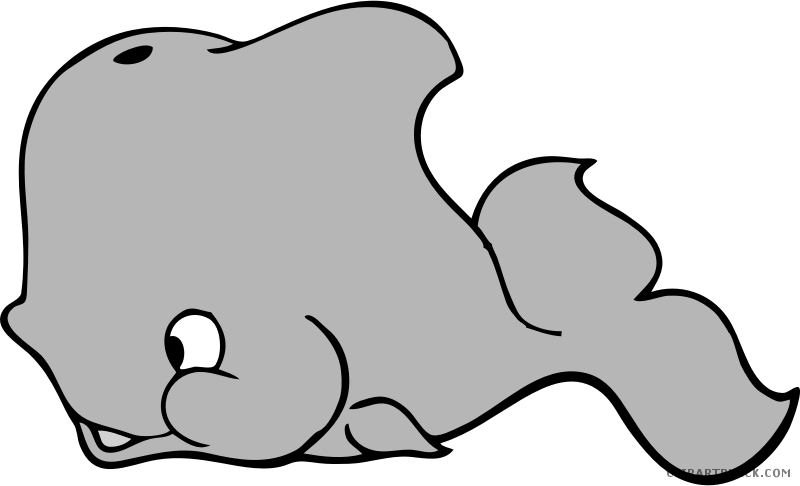 Cartoon Whale Animal Free Black White Clipart Images - Cartoon Whale Shower Curtain (800x486)