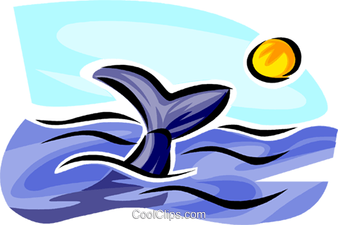 Whale Watching Royalty Free Vector Clip Art Illustration - Clip Art (480x319)