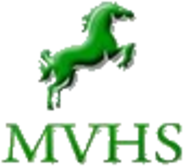 Mount View Logo - Narsee Monjee Institute Of Management Studies Logo (720x604)