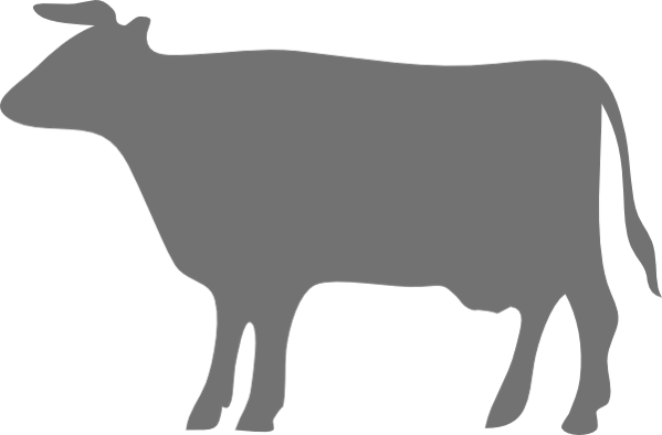Bovine Insulin - Grey Cow Silhouette (599x394)