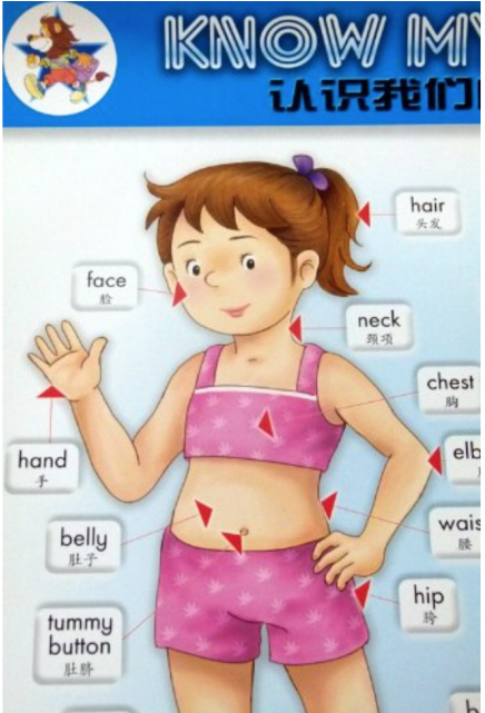 £3 - - Mandarin Parts Of The Body (640x640)
