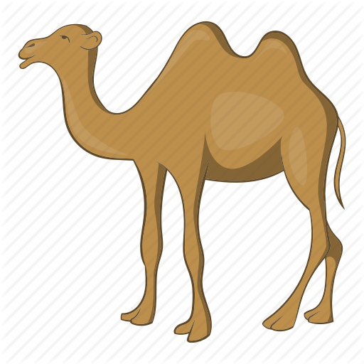 Cartoon Camel Pictures - Two Hump Camel Cartoon (512x512)